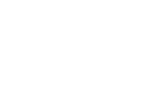 saudi vision 2030 logo